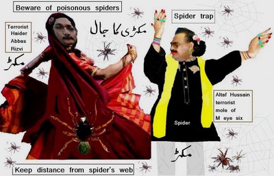 Altaf Harami is a Spider